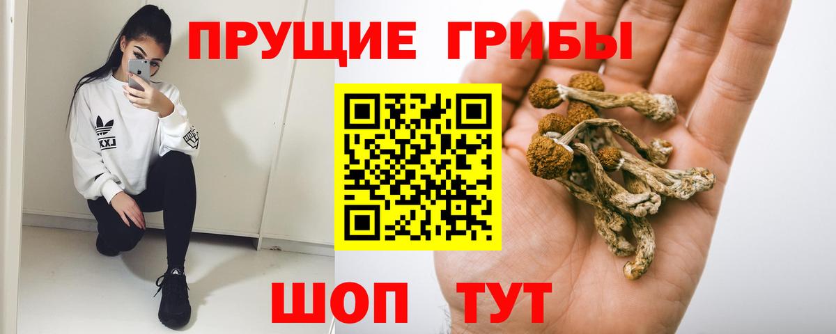 Псилоцибиновые грибы мицелий  Вход с VPN  Белорецк 